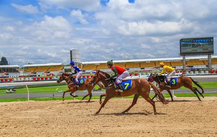 Trải Nghiệm Tìm Hiểu Cá Cược Đua Ngựa BongX9 Đẳng Cấp 2 Trải Nghiệm Tìm Hiểu Cá Cược Đua Ngựa BongX9 Đẳng Cấp