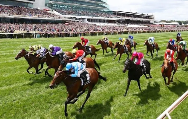 Trải Nghiệm Tìm Hiểu Cá Cược Đua Ngựa BongX9 Đẳng Cấp 1 Trải Nghiệm Tìm Hiểu Cá Cược Đua Ngựa BongX9 Đẳng Cấp