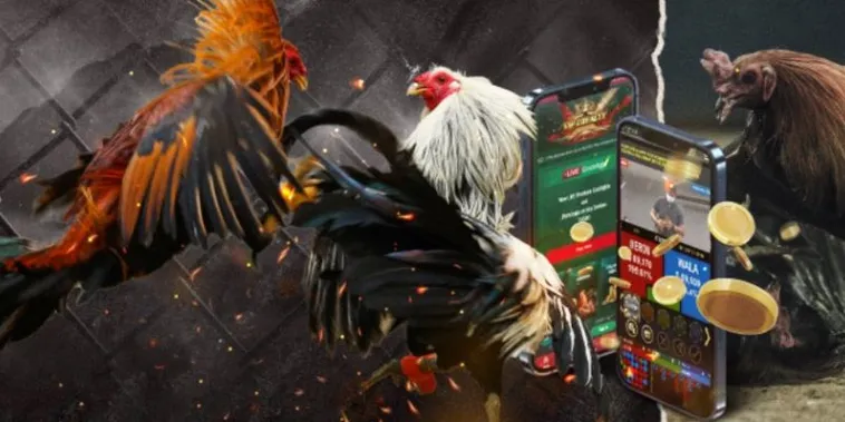 Làm Chủ Trận Đấu Với Cách Chơi Đá Gà GA28 Tại BongX9 Cực Hay 2 Làm Chủ Trận Đấu Với Cách Chơi Đá Gà GA28 Tại BongX9 Cực Hay