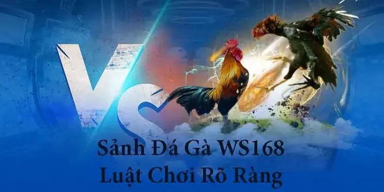 Thống Lĩnh Đấu Trường Đá Gà WS168 Tại BongX9 Với Chiến Thuật Đỉnh 1 Thống Lĩnh Đấu Trường Đá Gà WS168 Tại BongX9 Với Chiến Thuật Đỉnh