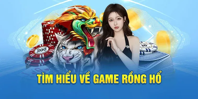 Chinh Phục Trò Chơi Dragon Tiger Tại BongX9 Với Tỷ Lệ Thắng Cực Cao