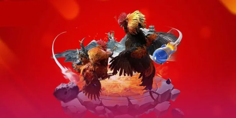 Trải Nghiệm Kịch Tính Sân Chơi Đá Gà BongX9 Đẳng Cấp Quốc Tế Hàng Đầu